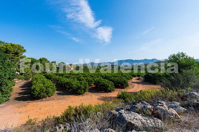 5 chambre Villa/Maison à vendre à Carcaixent - 3 600 000 € (Ref: 9910101)