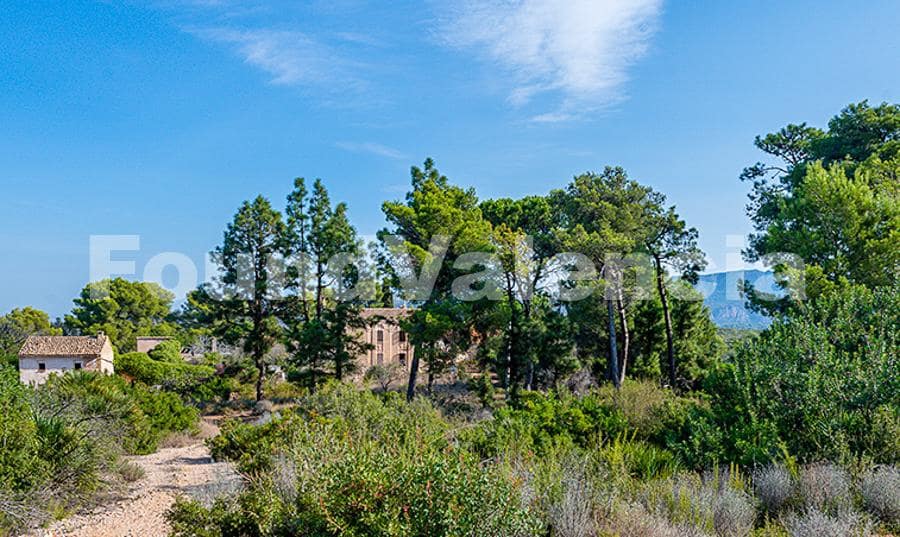 5 bedroom Villa for sale in Carcaixent - € 3,600,000 (Ref: 9910101)