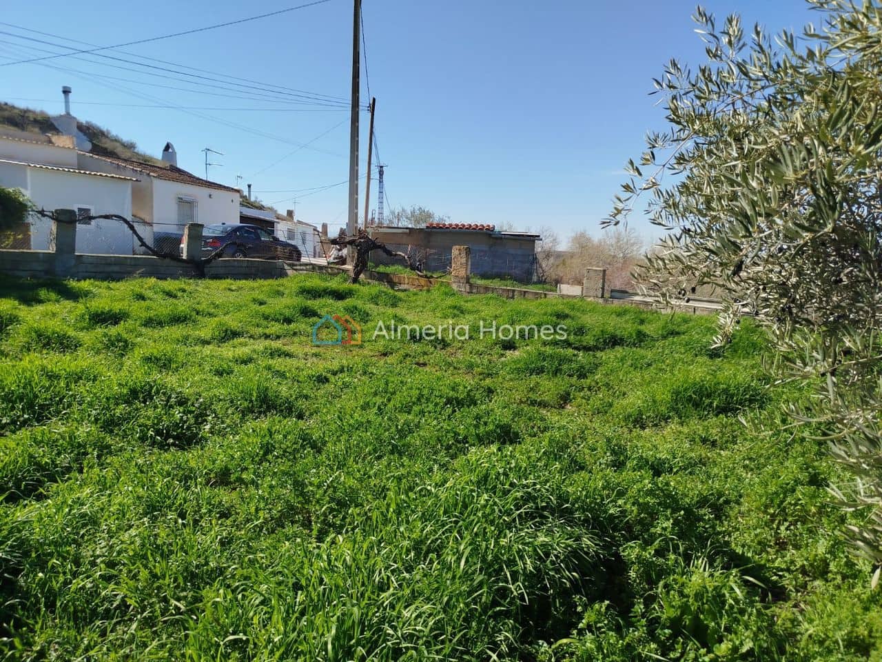 3 quarto Casa de Caverna para venda em Cullar - 70 000 € (Ref: 10024807)
