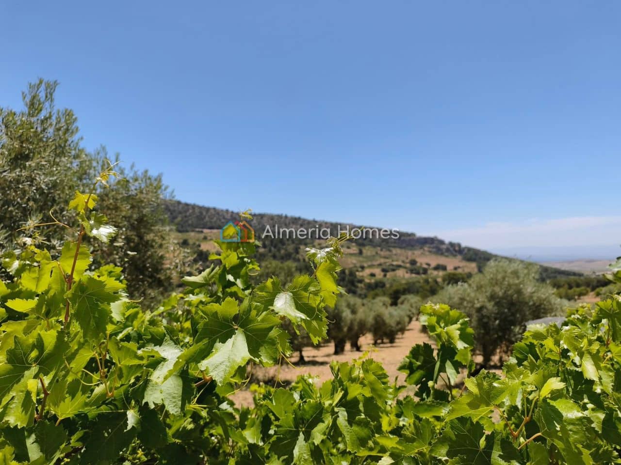 6 chambre Finca/Maison de Campagne à vendre à Castril - 199 950 € (Ref: 10024808)