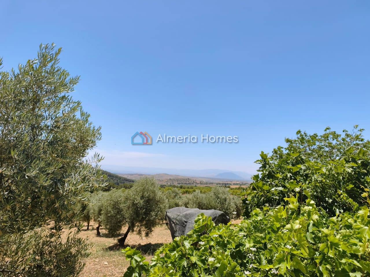 6 chambre Finca/Maison de Campagne à vendre à Castril - 199 950 € (Ref: 10024808)