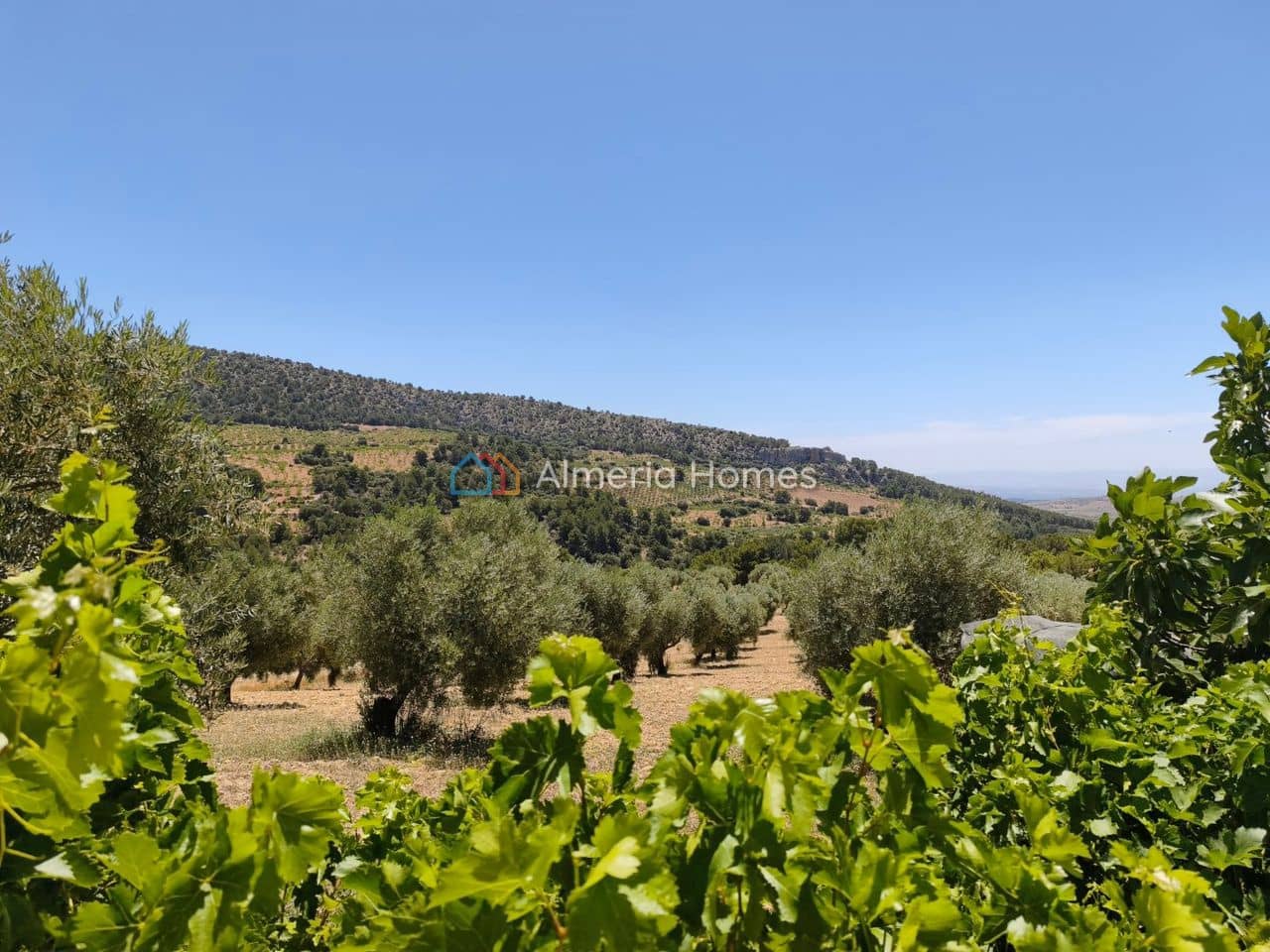6 chambre Finca/Maison de Campagne à vendre à Castril - 199 950 € (Ref: 10024808)