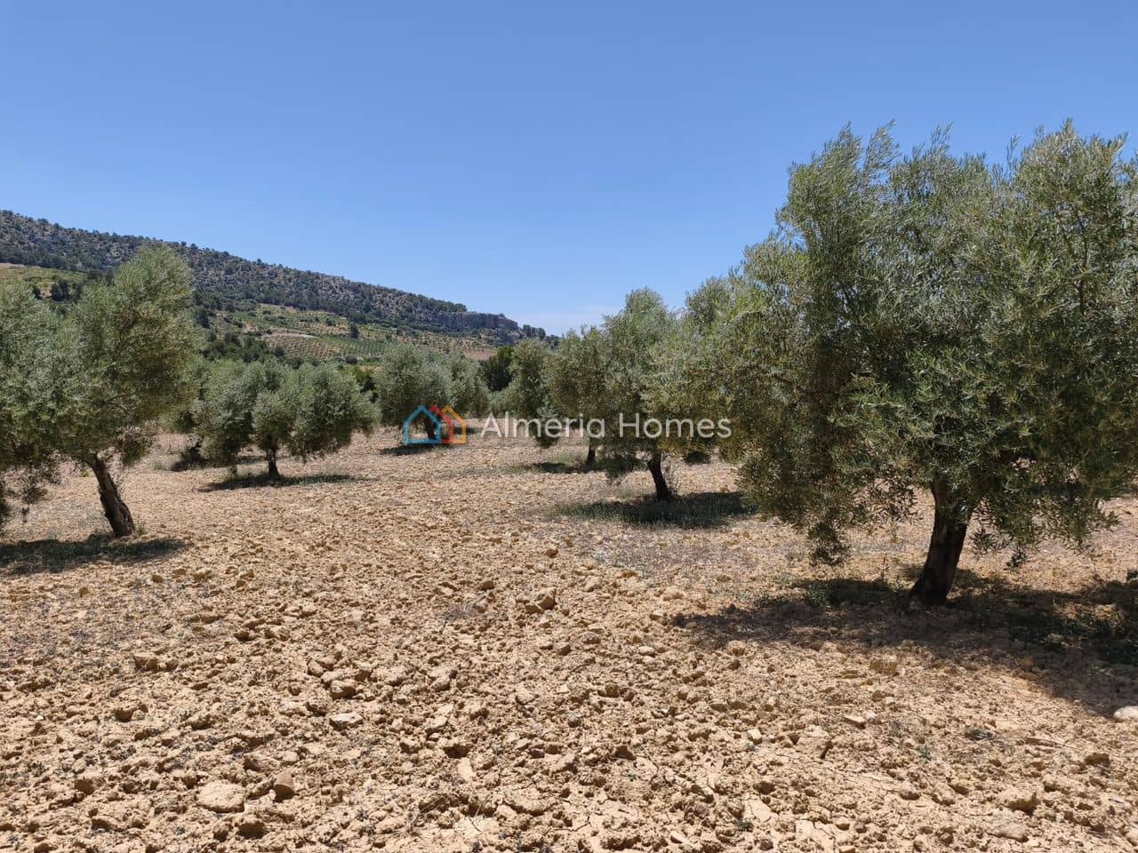 6 chambre Finca/Maison de Campagne à vendre à Castril - 199 950 € (Ref: 10024808)