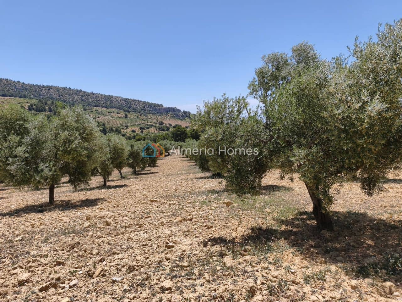 6 chambre Finca/Maison de Campagne à vendre à Castril - 199 950 € (Ref: 10024808)