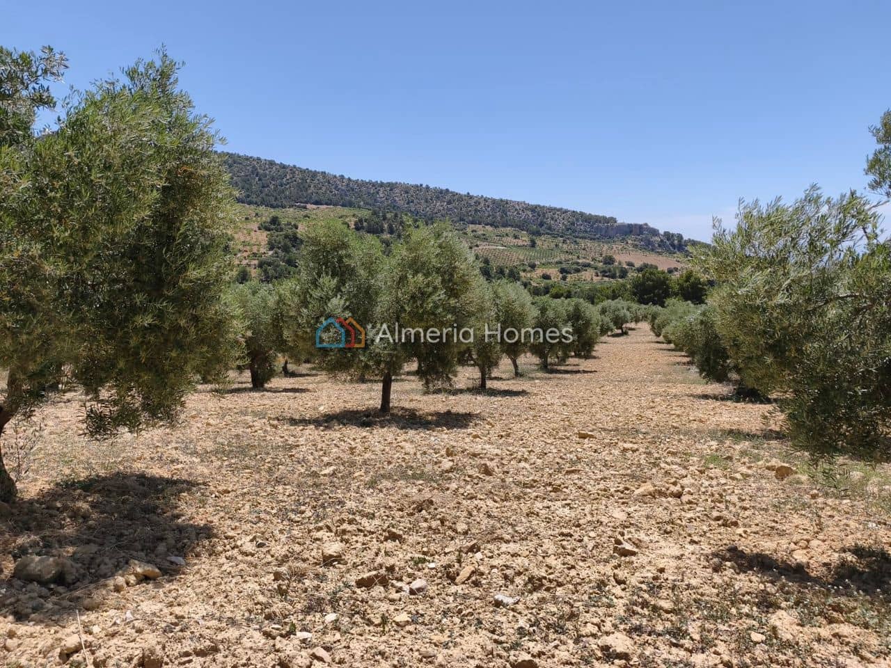 6 chambre Finca/Maison de Campagne à vendre à Castril - 199 950 € (Ref: 10024808)