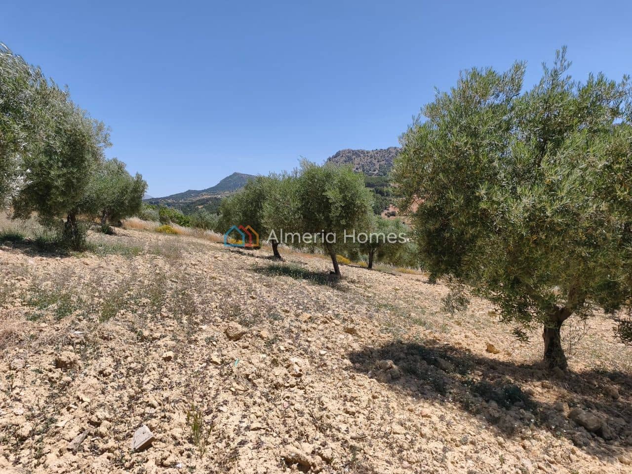 6 chambre Finca/Maison de Campagne à vendre à Castril - 199 950 € (Ref: 10024808)