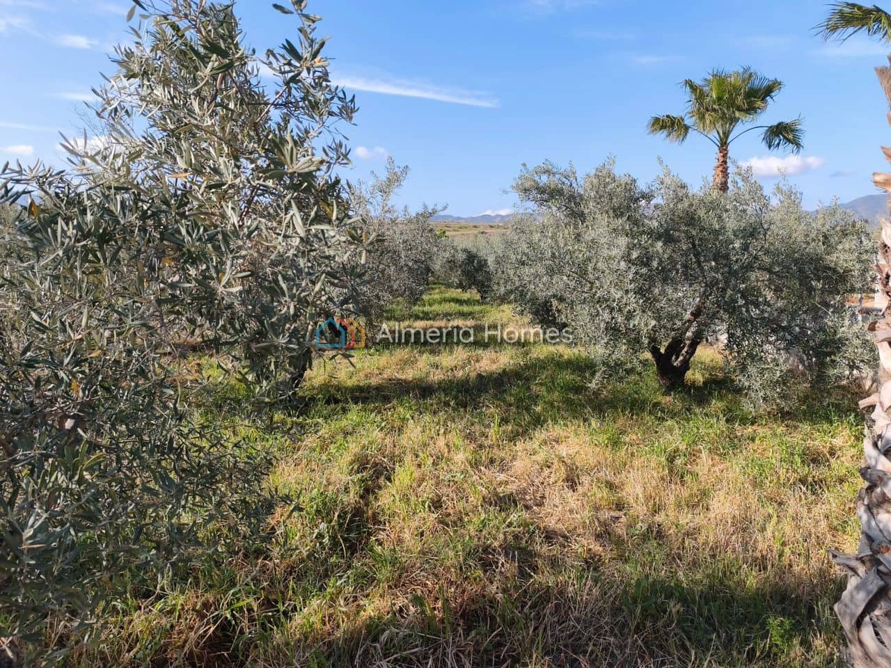 2 bedroom Finca/Country House for sale in Armuna de Almanzora - € 80,000 (Ref: 10030975)
