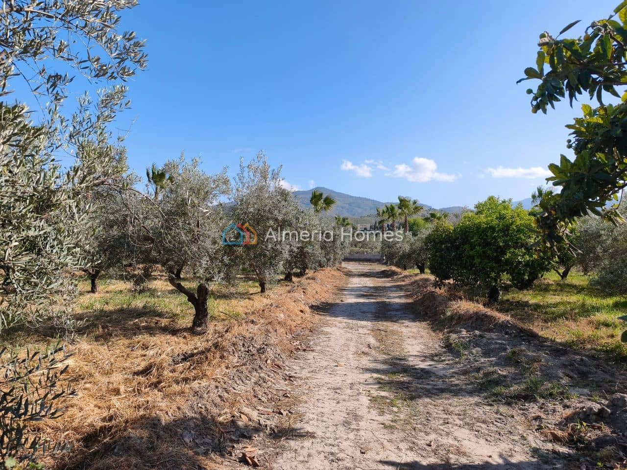 2 bedroom Finca/Country House for sale in Armuna de Almanzora - € 80,000 (Ref: 10030975)