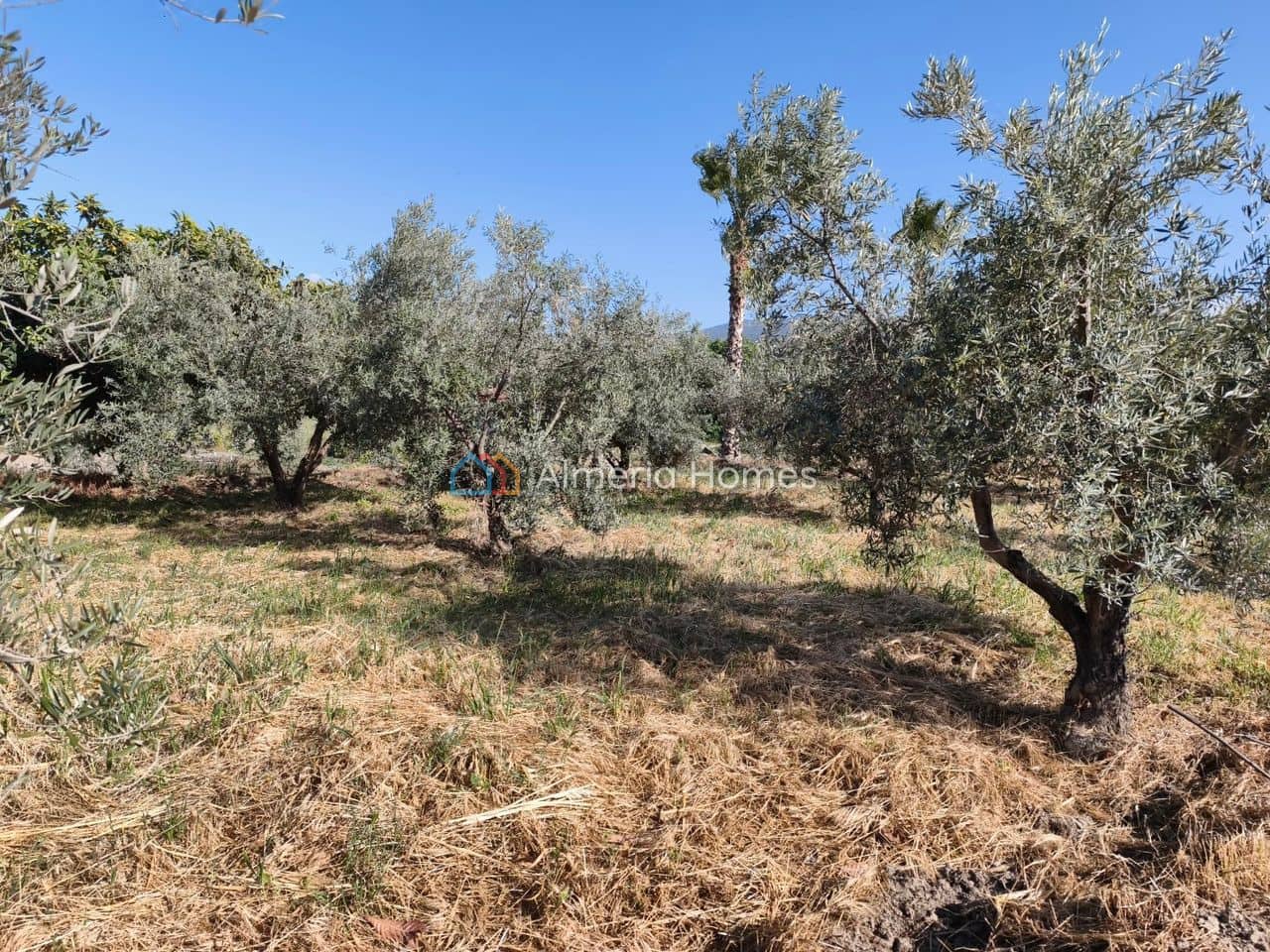 2 bedroom Finca/Country House for sale in Armuna de Almanzora - € 80,000 (Ref: 10030975)