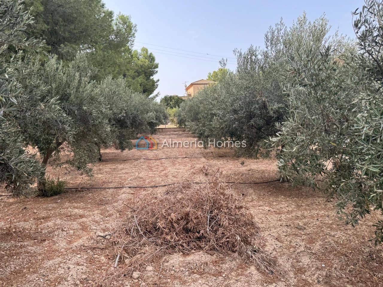 4 soverom Finca/Herregård til salgs i Purias med garasje - € 390 000 (Ref: 10057317)