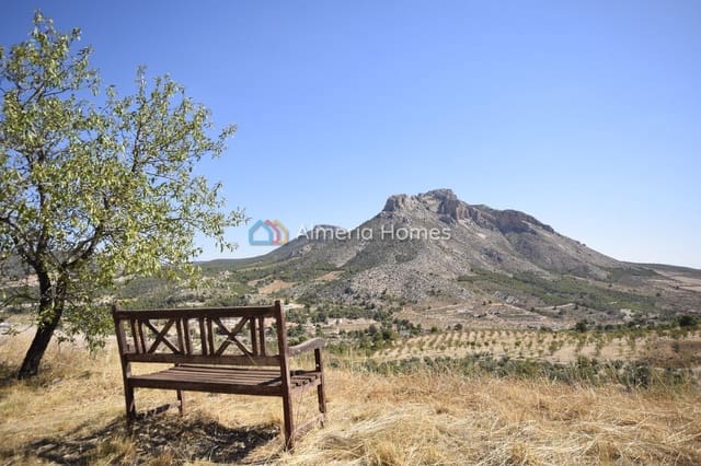 4 Zimmer Villa zu verkaufen in Vélez-Blanco - 247.500 € (Ref: 10112104)