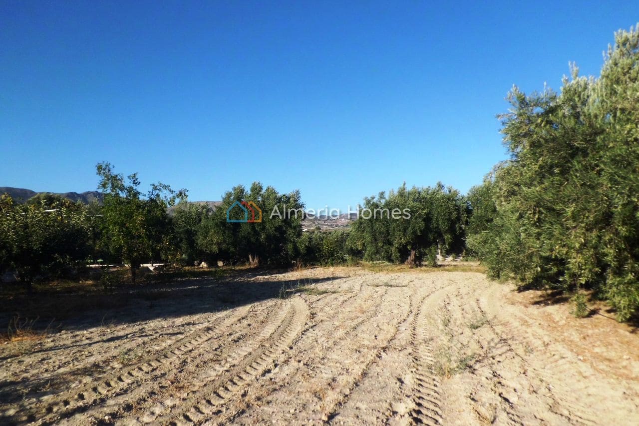 3 quarto Quinta/Casa Rural para venda em Tijola com garagem - 250 000 € (Ref: 10136678)