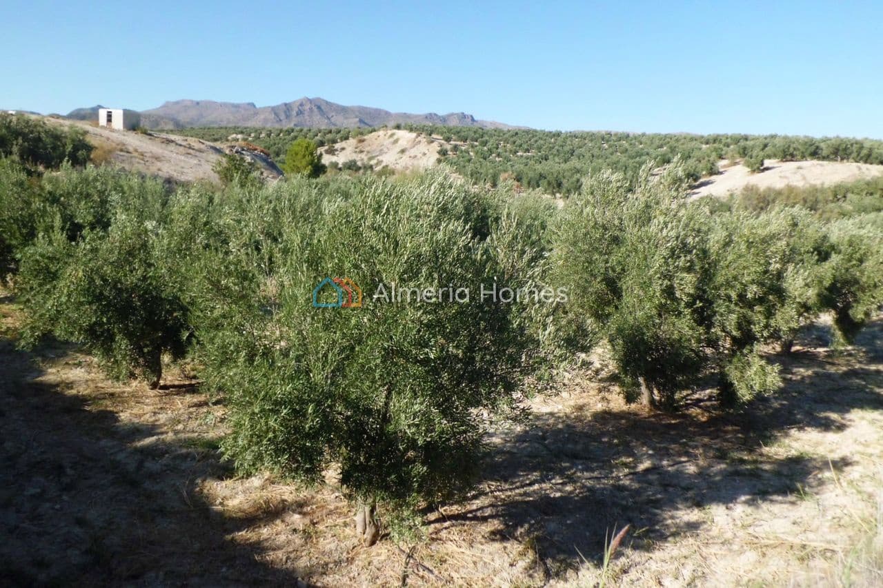 3 quarto Quinta/Casa Rural para venda em Tijola com garagem - 250 000 € (Ref: 10136678)