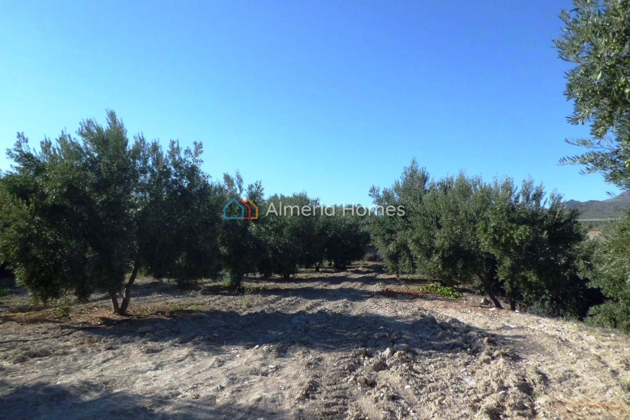 3 quarto Quinta/Casa Rural para venda em Tijola com garagem - 250 000 € (Ref: 10136678)