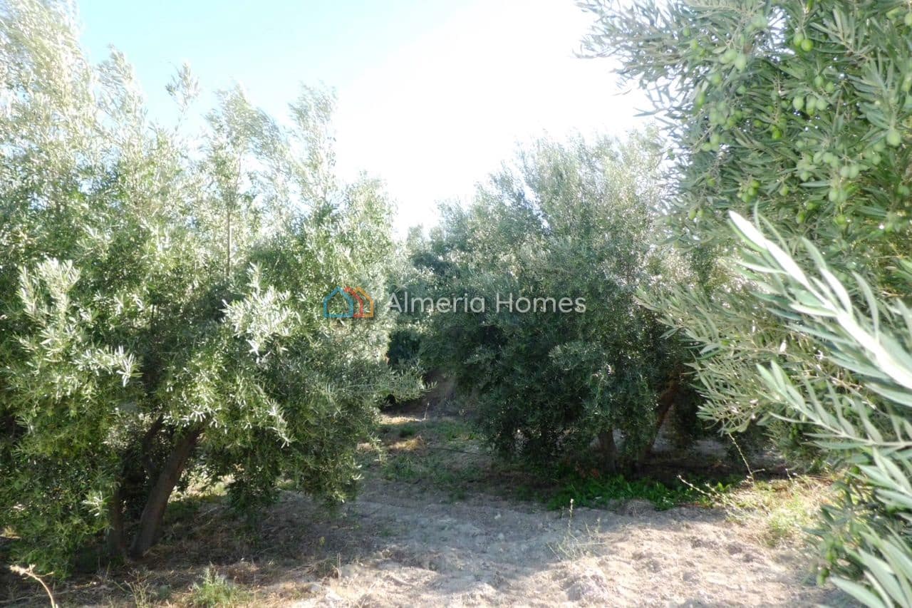 3 quarto Quinta/Casa Rural para venda em Tijola com garagem - 250 000 € (Ref: 10136678)