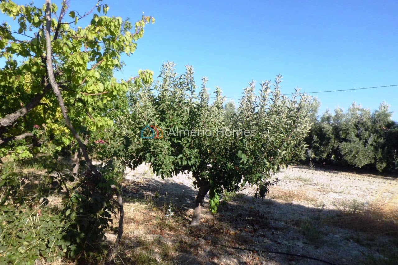 3 quarto Quinta/Casa Rural para venda em Tijola com garagem - 250 000 € (Ref: 10136678)