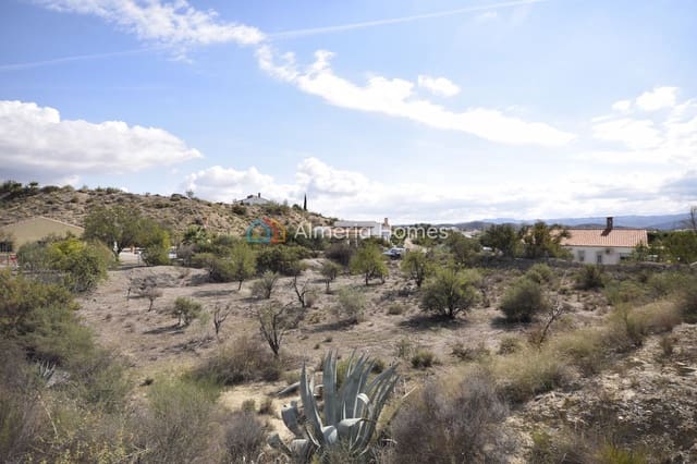 Grond te koop in Partaloa - € 10.000 (Ref: 10160504)