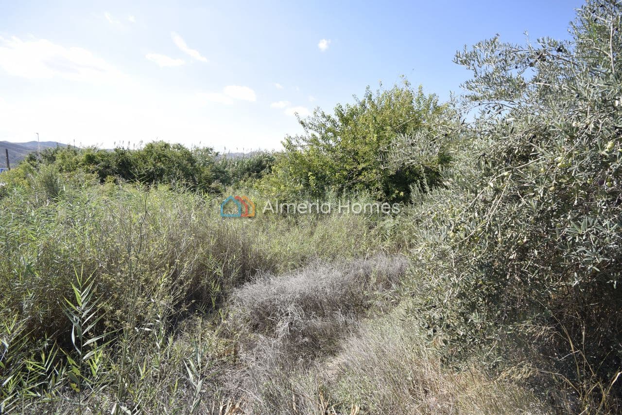 3 camera da letto Finca/Casa di Campagna in vendita in Arboleas - 75.000 € (Rif: 10167349)