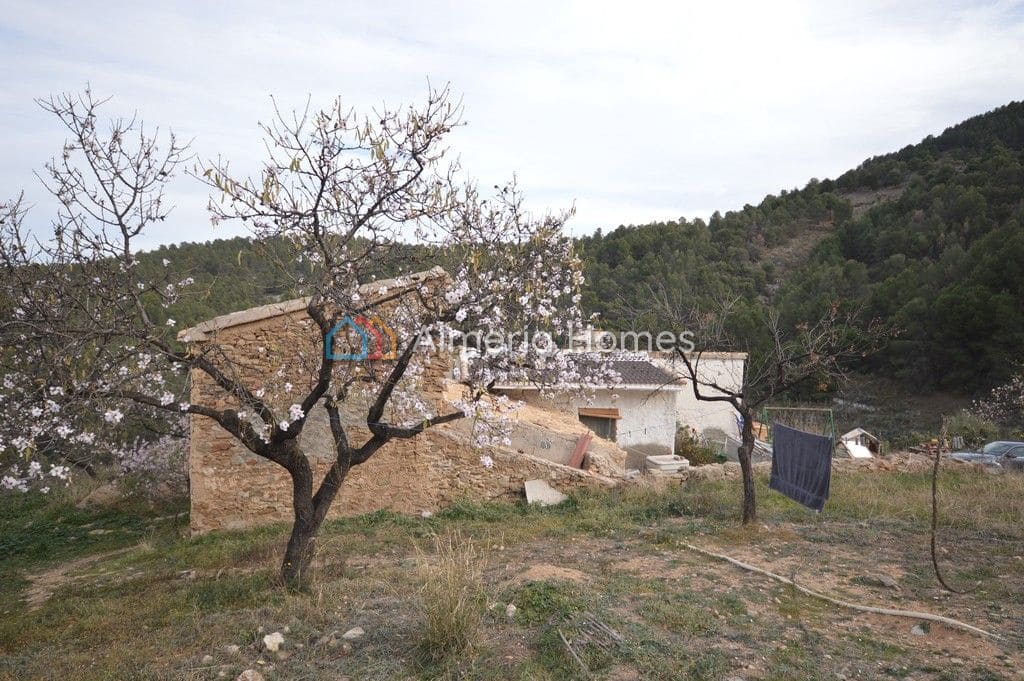 2 sypialnia Finka/Dom wiejski na sprzedaż w Purchena - 145 000 € (Ref: 2874177)