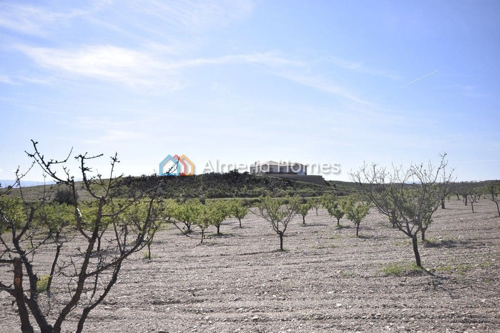 4 soveværelse Villa til salg i Albox - € 189.950 (Ref: 3420159)