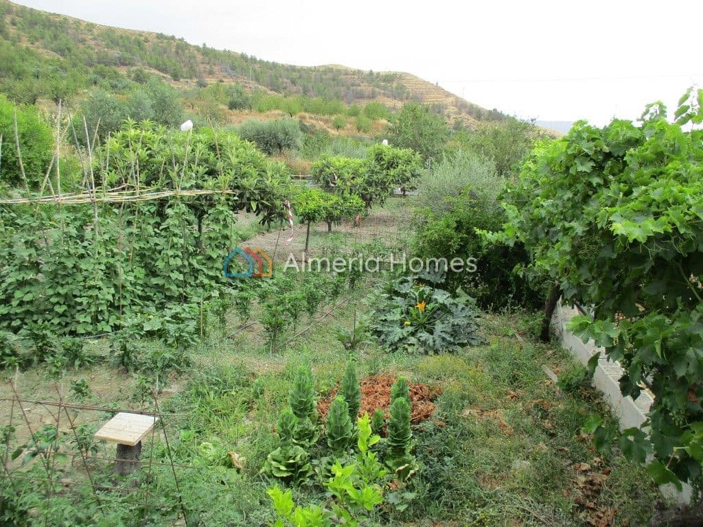 1 quarto Quinta/Casa Rural para venda em Sufli - 69 000 € (Ref: 3569389)
