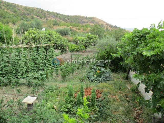 1 quarto Quinta/Casa Rural para venda em Suflí - 69 000 € (Ref: 3569389)
