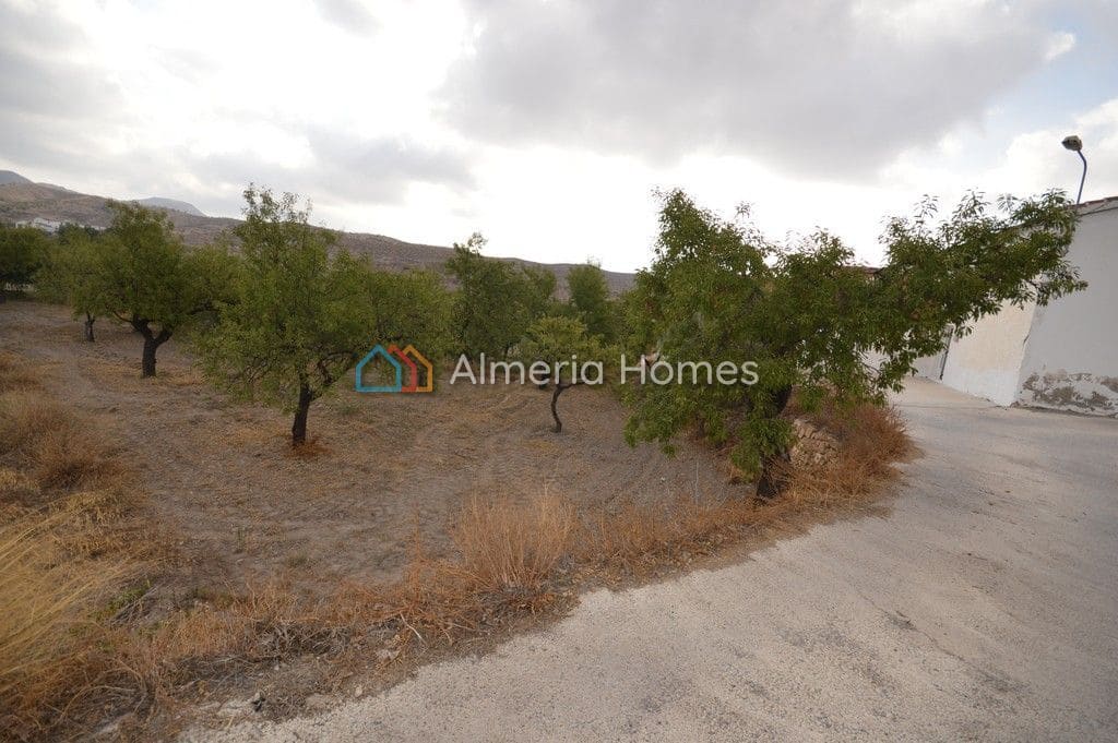 3 sovrum Finca/Hus på landet till salu i Albox - 50 000 € (Ref: 4211720)