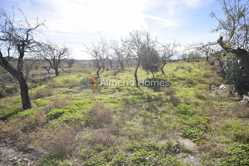 4 bedroom Finca/Country House for sale in El Bancalejo - € 95,000 (Ref: 4319886)