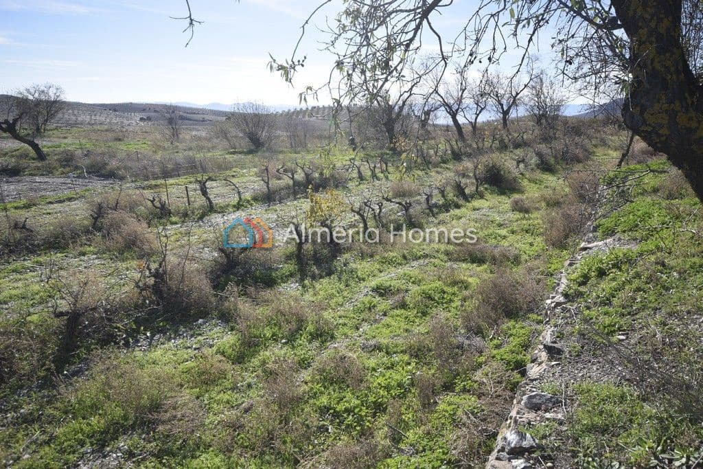 4 bedroom Finca/Country House for sale in El Bancalejo - € 95,000 (Ref: 4319886)