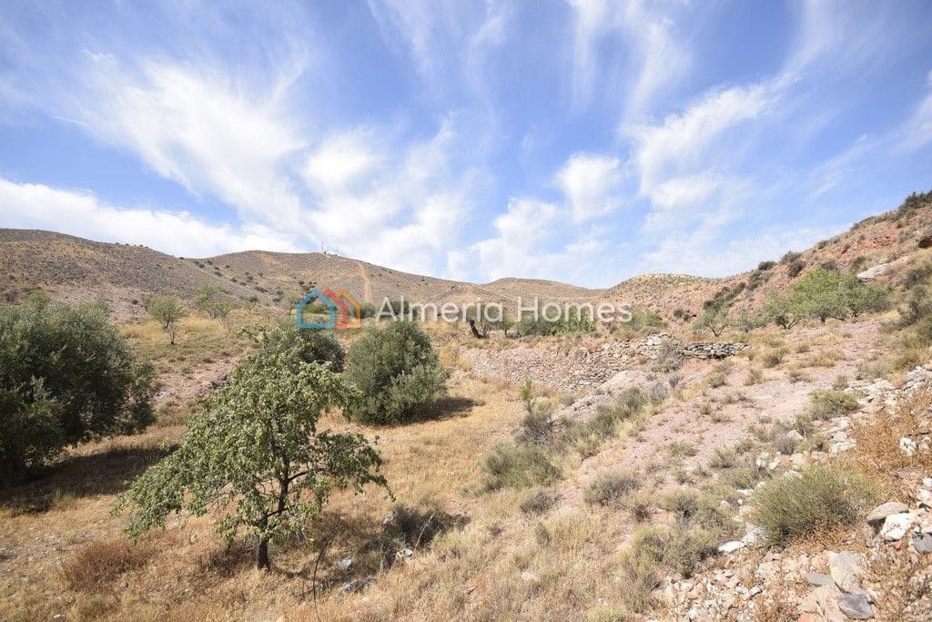 5 soveværelse Finca/Landehus til salg i Albox - € 41.950 (Ref: 4706158)