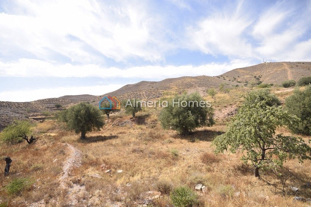 5 soveværelse Finca/Landehus til salg i Albox - € 41.950 (Ref: 4706158)