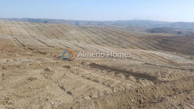 Terre non Aménagée à vendre à Taberno - 125 000 € (Ref: 4792824)