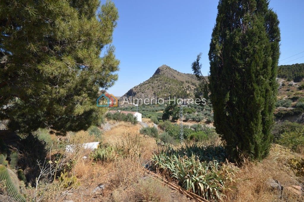 4 sypialnia Finka/Dom wiejski na sprzedaż w Oria - 62 500 € (Ref: 6991286)