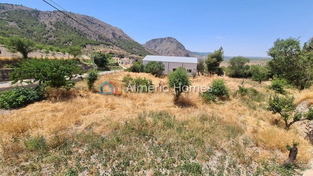 Ubebygd land til salgs i Oria - € 25 000 (Ref: 6992903)
