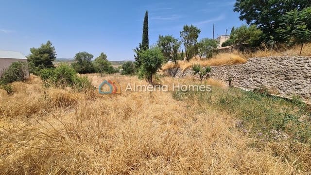 Ubebygd land til salgs i Oria - € 25 000 (Ref: 6992903)