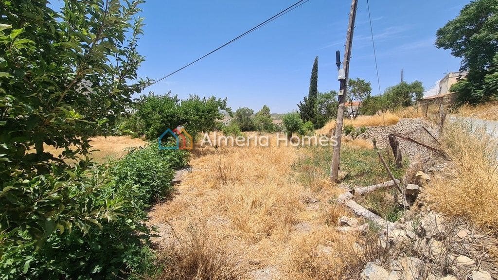 Ubebygd land til salgs i Oria - € 25 000 (Ref: 6992903)