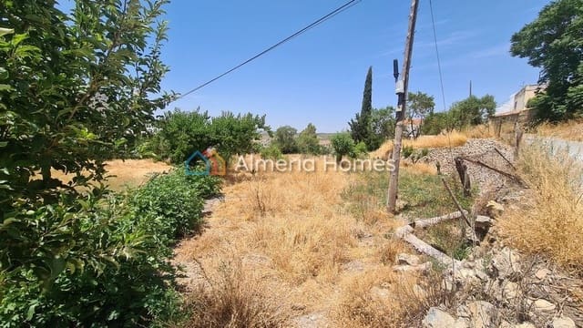 Ubebygd land til salgs i Oria - € 25 000 (Ref: 6992903)