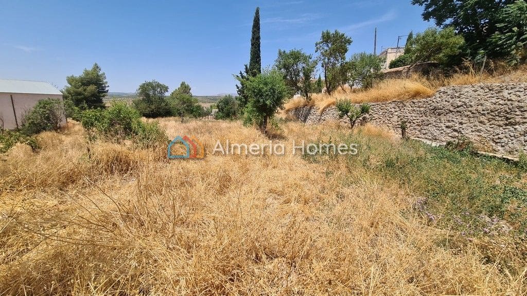 Ubebygd land til salgs i Oria - € 25 000 (Ref: 6992903)