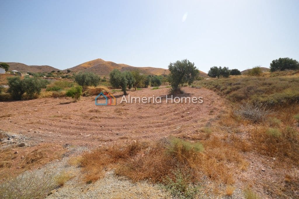 5 sypialnia Finka/Dom wiejski na sprzedaż w Albox - 194 500 € (Ref: 7058484)