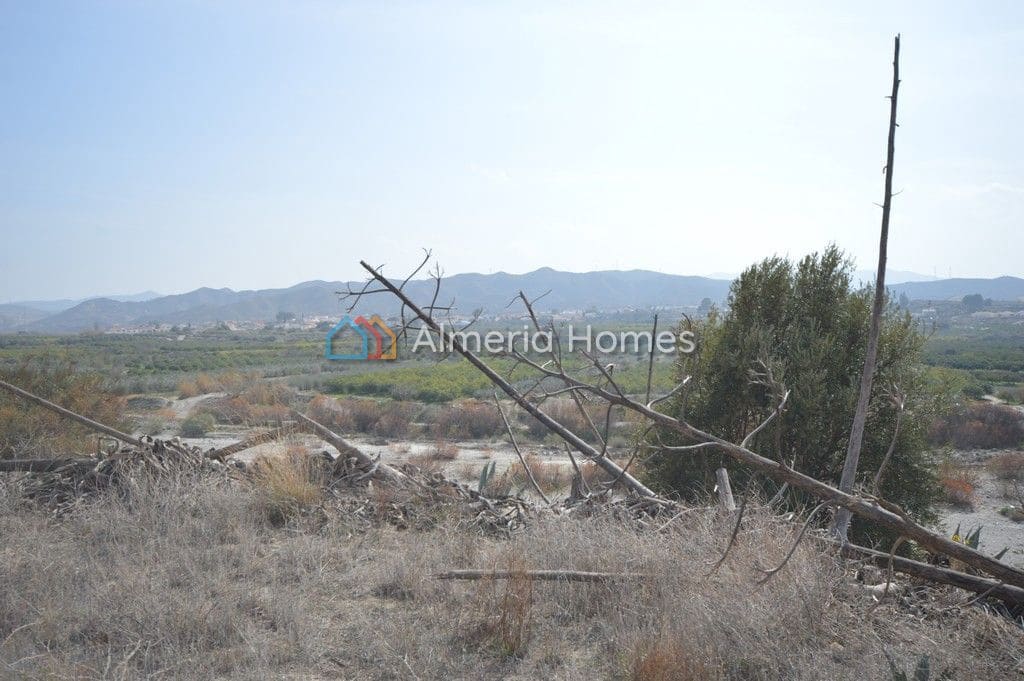 3 soveværelse Finca/Landehus til salg i Arboleas - € 49.950 (Ref: 7446026)