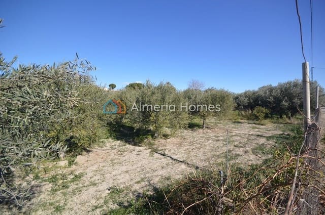 2 camera da letto Finca/Casa di Campagna in vendita in Fines - 86.000 € (Rif: 7480638)