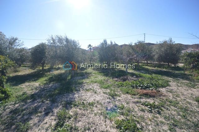 2 camera da letto Finca/Casa di Campagna in vendita in Fines - 86.000 € (Rif: 7480638)