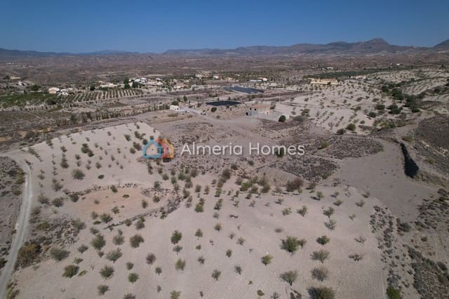 2 sovrum Finca/Hus på landet till salu i Albox - 349 995 € (Ref: 7762654)