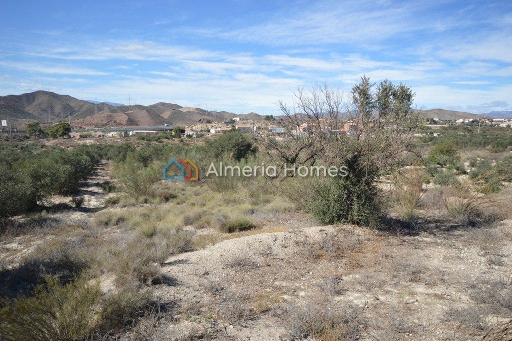 Undeveloped Land for sale in Albox - € 12,000 (Ref: 7848114)