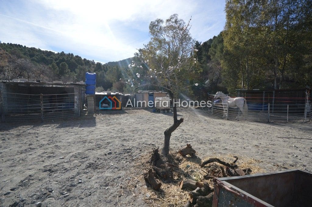 3 slaapkamer Finca/Landhuis te koop in Purchena met zwembad garage - € 140.000 (Ref: 8073543)