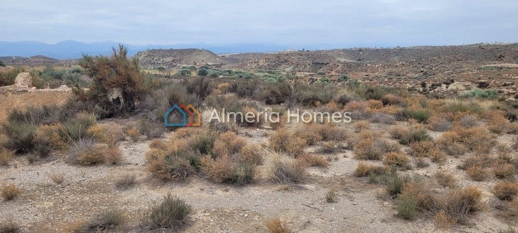Terre non Aménagée à vendre à Albox - 15 000 € (Ref: 8092463)
