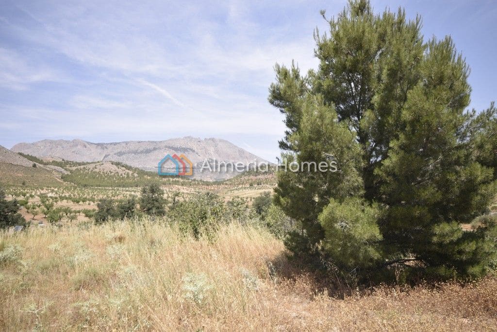 10 camera da letto Finca/Casa di Campagna in vendita in Velez-Rubio - 175.000 € (Rif: 811554)