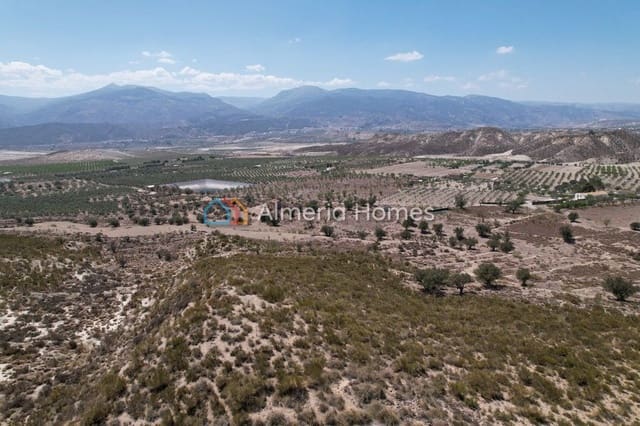 6 sovrum Finca/Hus på landet till salu i Lúcar - 219 950 € (Ref: 8227336)