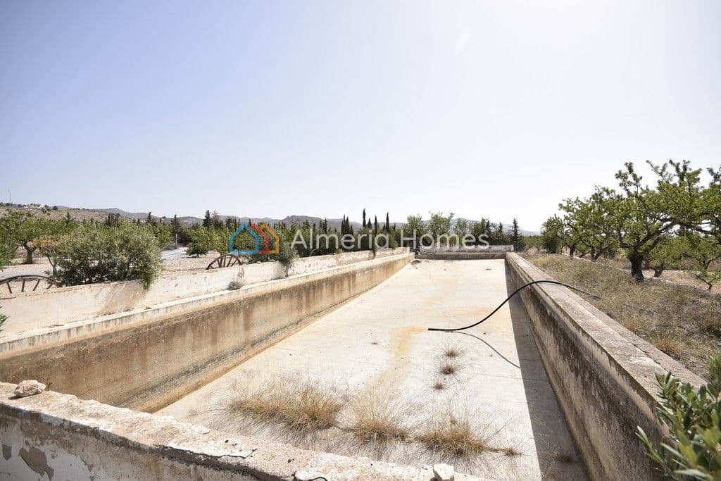 3 soveværelse Villa til salg i Lucar med swimmingpool - € 280.000 (Ref: 8323927)