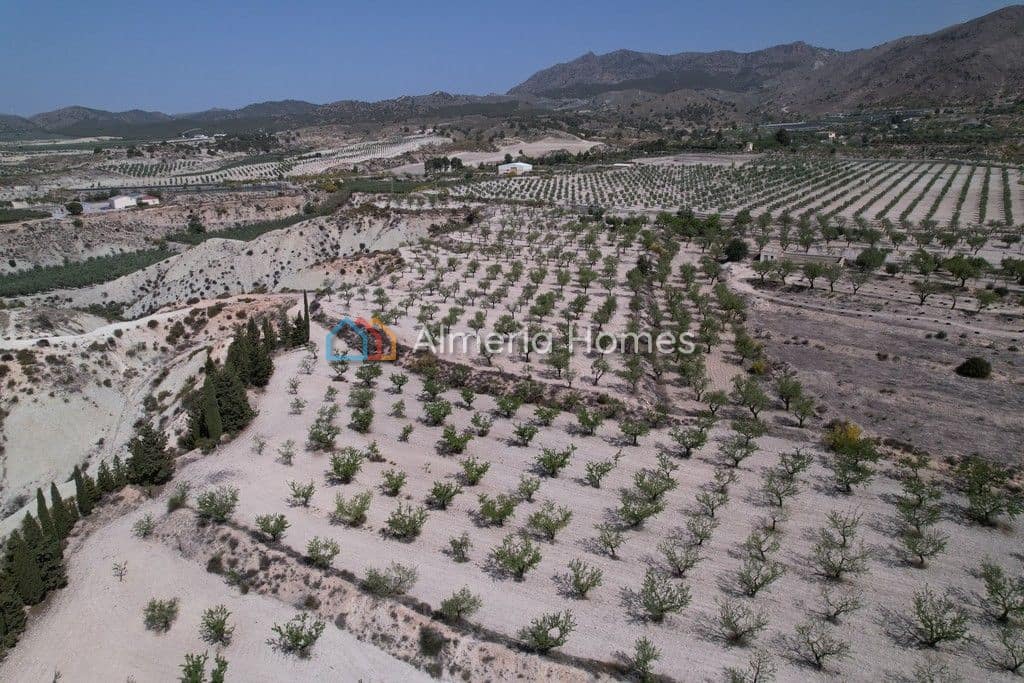 3 soveværelse Villa til salg i Lucar med swimmingpool - € 280.000 (Ref: 8323927)